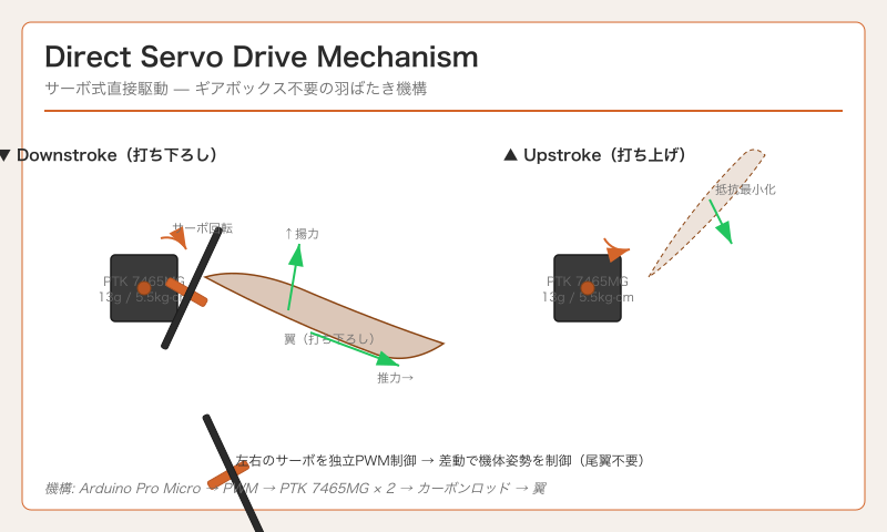 図2: サーボ式直接駆動機構断面図 — サーボの回転運動が翼の上下運動に変換される